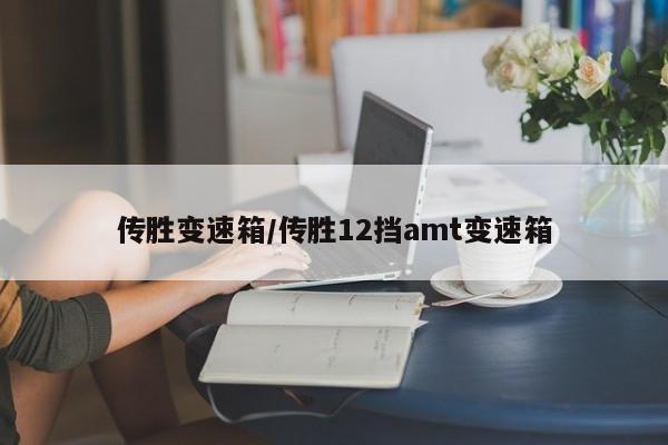传胜变速箱/传胜12挡amt变速箱