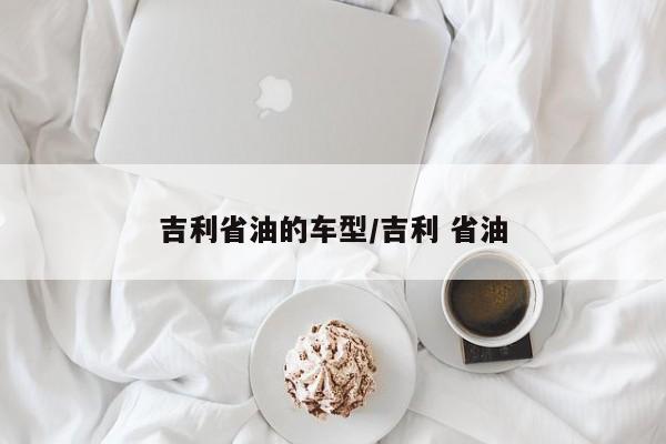吉利省油的车型/吉利 省油